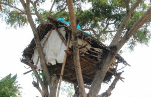 A Tribal House in Chamrajnagar